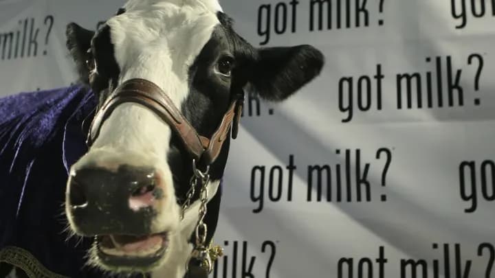 Marketing do Leite: Como a Publicidade Transformou um Hábito Diário